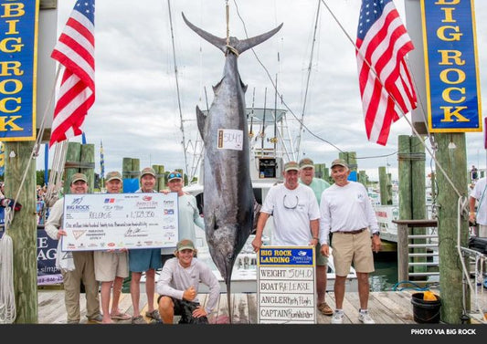 North Carolina Fishing Crew Lands $1.7M Prize with 504-Pound Blue Marlin