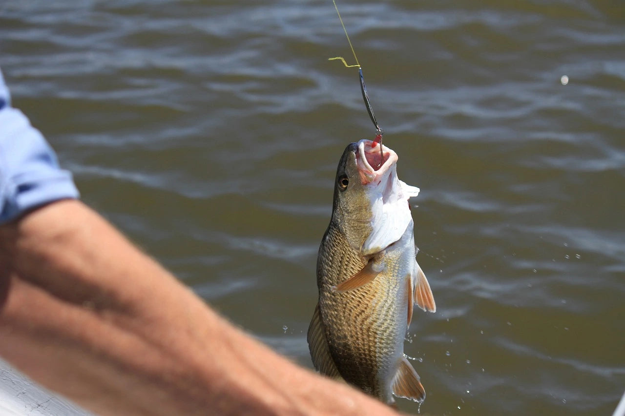 Cast Far, Catch More: Why You Should Consider Using Braided Fishing Li