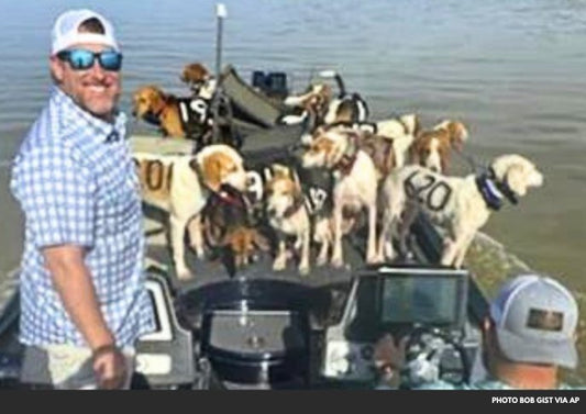 Fishing Trip Turns into Massive Dog Rescue on Mississippi Lake