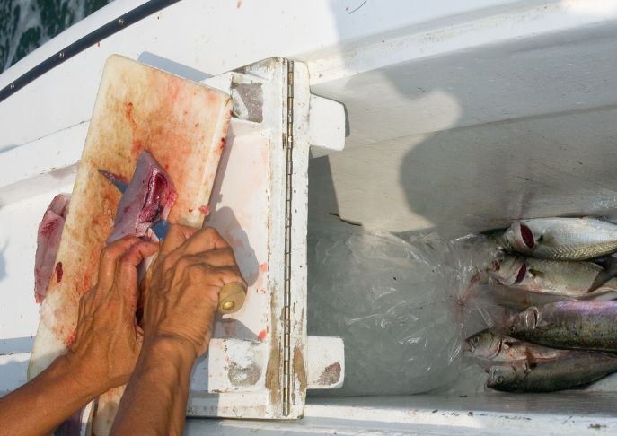 Erie Fishers Upset About Fish Cleaning Rules