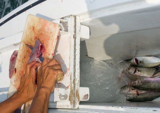 Erie Fishers Upset About Fish Cleaning Rules