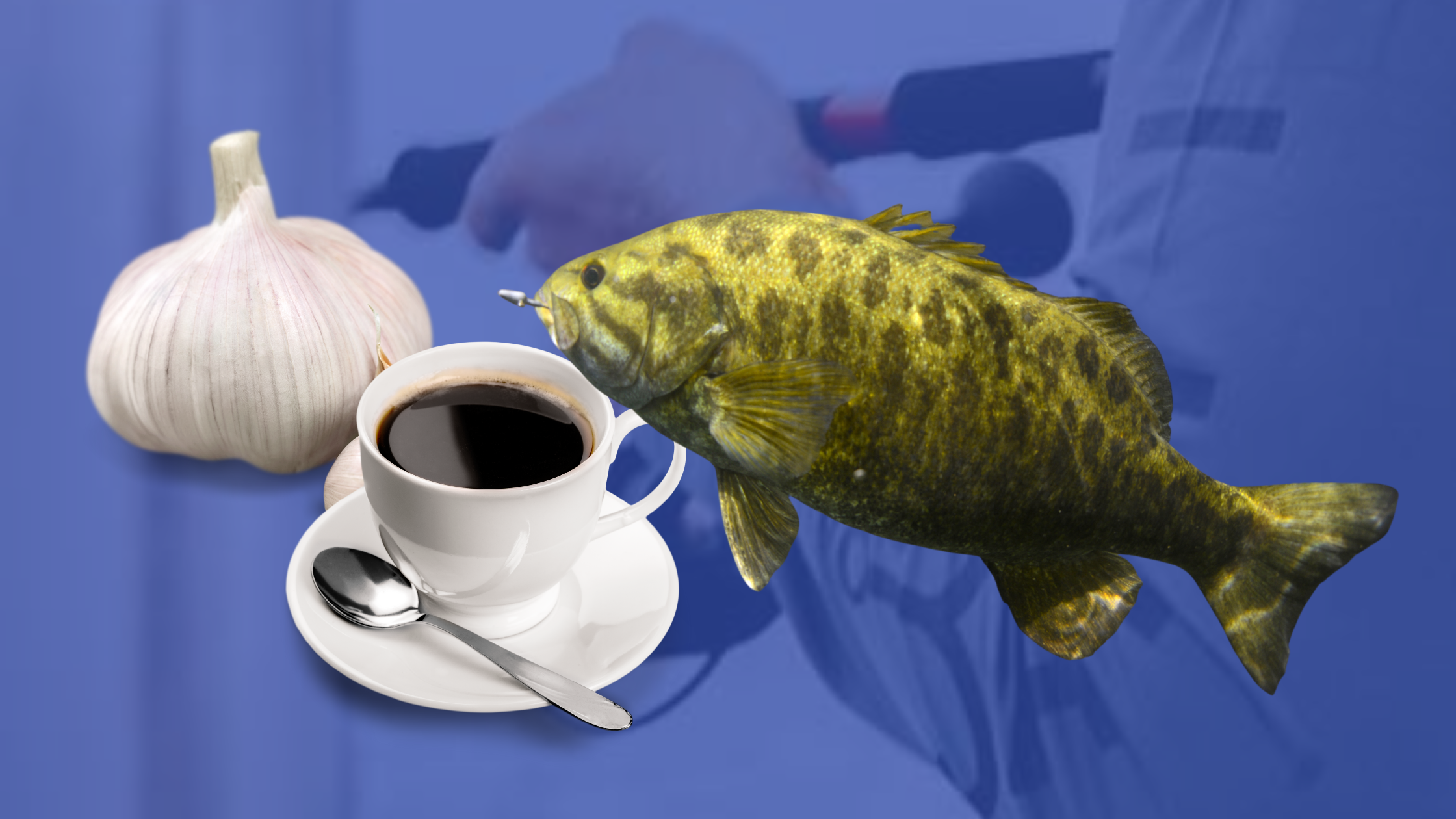fishing attractant