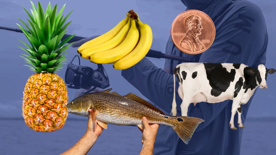 10 Fishing Superstitions: Silly Ideas or Shortcuts to Success?
