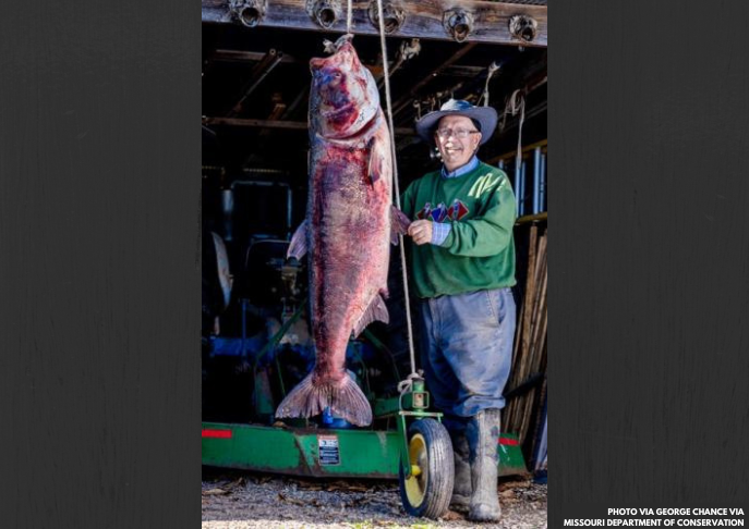 Missouri Angler Sets New State and World Records with Massive Bighead
