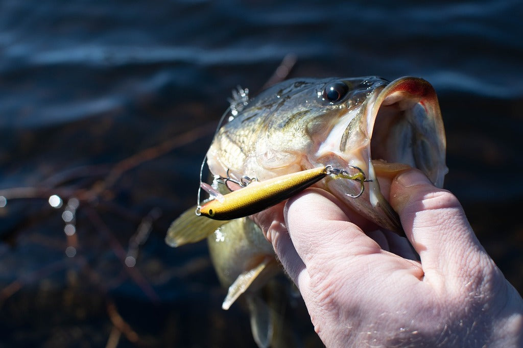 A Guide to Detecting Bites While Fishing: Basics and Pro Tips
