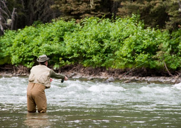 Montana Anglers Urged to Report Fish Kills as Summer Heat Stresses Aquatic Life