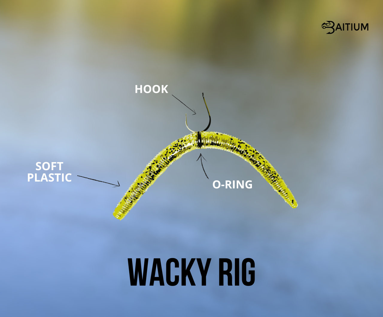 Soft Plastic Rigging Guide: Wacky Rig — Discount Tackle