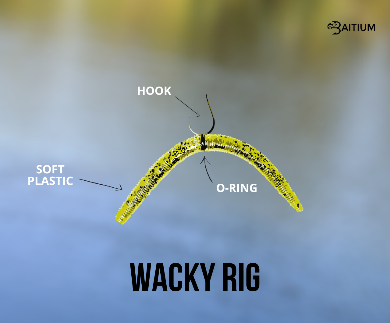 Wacky Rig Fishing: From Setup to Catch to Retrieval