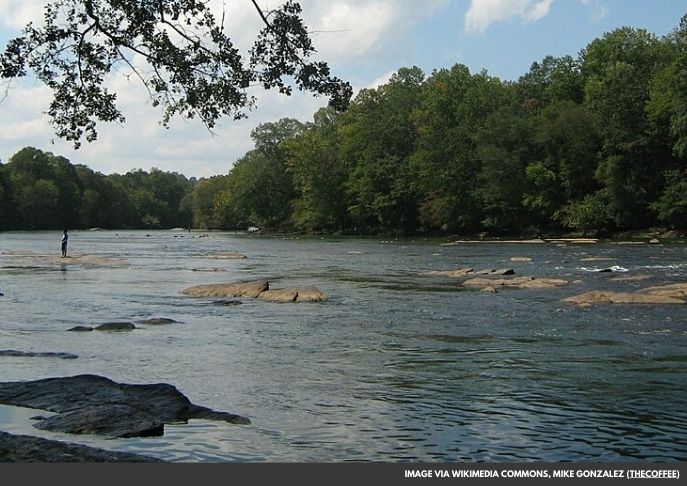 Illegal Angler Caught with Oversized Haul on Chattahoochee River