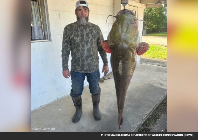 Colossal 95-Pound Flathead Catfish Smashes Lake Record in Oklahoma