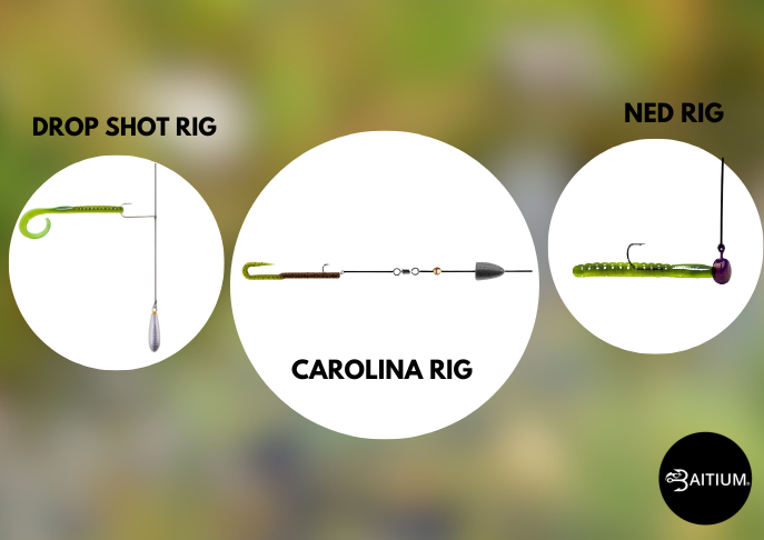 Catch More Fish with Drop Shot, Carolina, and Ned Rigs