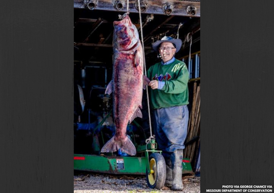 Missouri Angler Sets New State and World Records with Massive Bighead Carp Catch