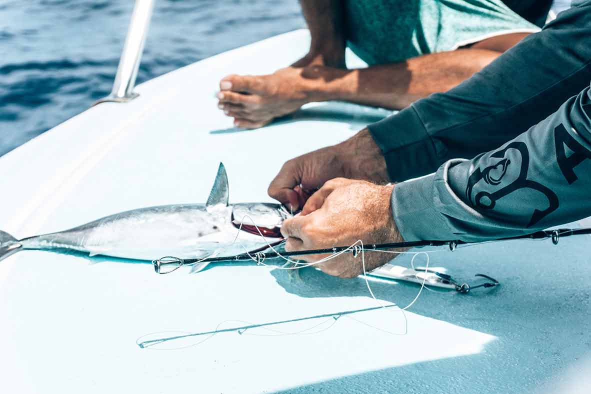 An In-Depth Guide on Fishing Line: Types, Uses, Disposal, and Common M