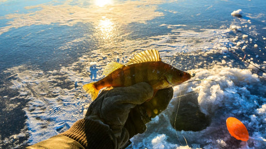 Ice Fishing: Gear, Rig, Techniques, and Safety