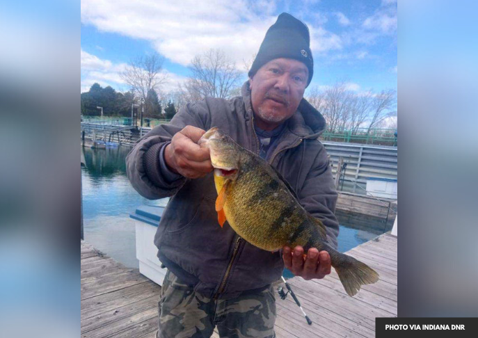 Indiana Angler Reels in Record-Breaking 'Jumbo' Yellow Perch