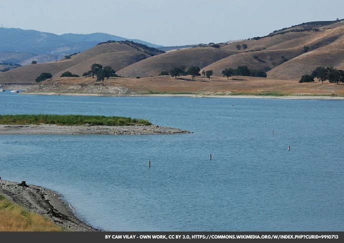 Mass Fish Die-Off Forces Indefinite Closure of Popular California Lake