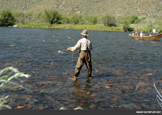 Montana Imposes Strict Fishing Limits as Rivers Heat Up