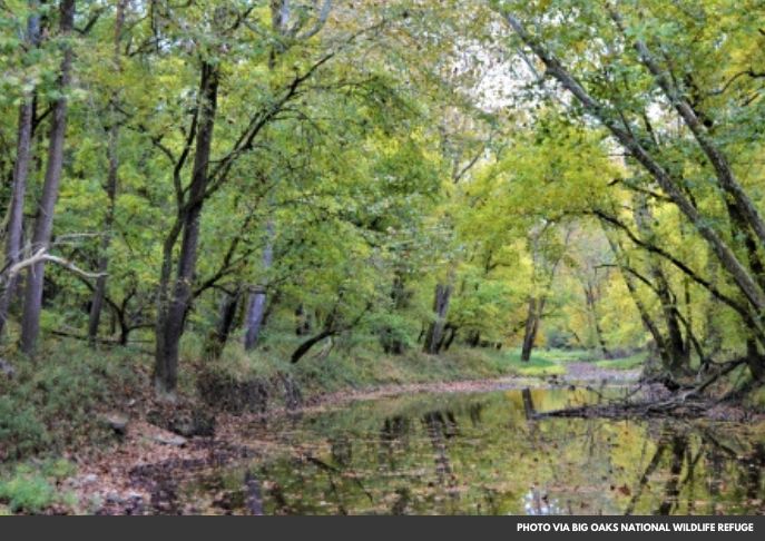 Big Oaks Wildlife Refuge Hosts Free Fishing Day for Kids