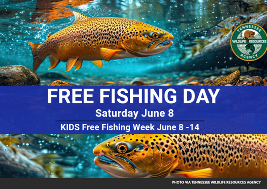 Tennessee's Free Fishing Day Set for June 8