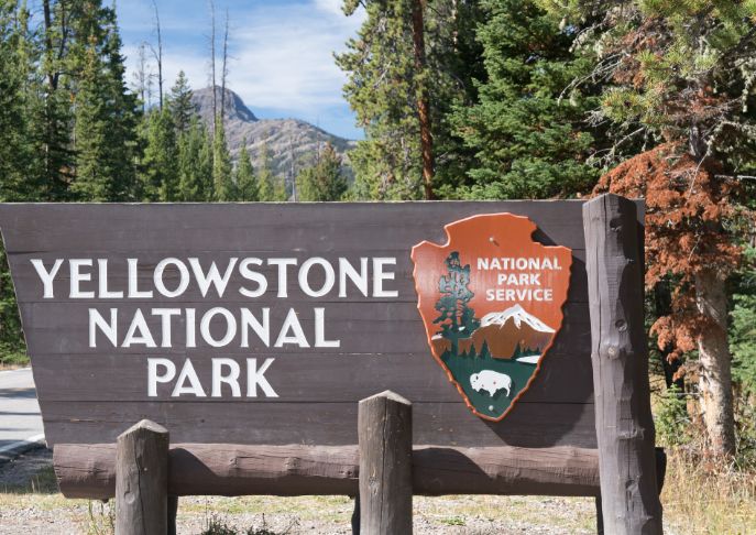 Heat Wave Forces Fishing Closures in Yellowstone National Park